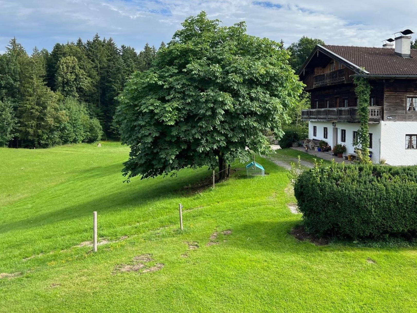 Fewo Staudinger Irschenberg Exterior foto